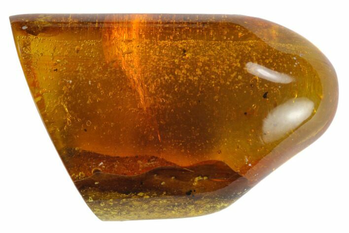 Polished Chiapas Amber ( g) - Mexico #114813